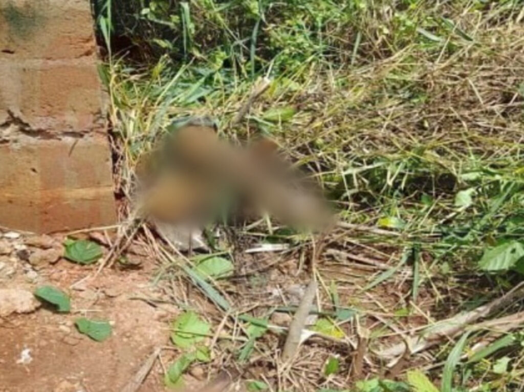 A guy killed her lover in Benin City after she breakup with Him