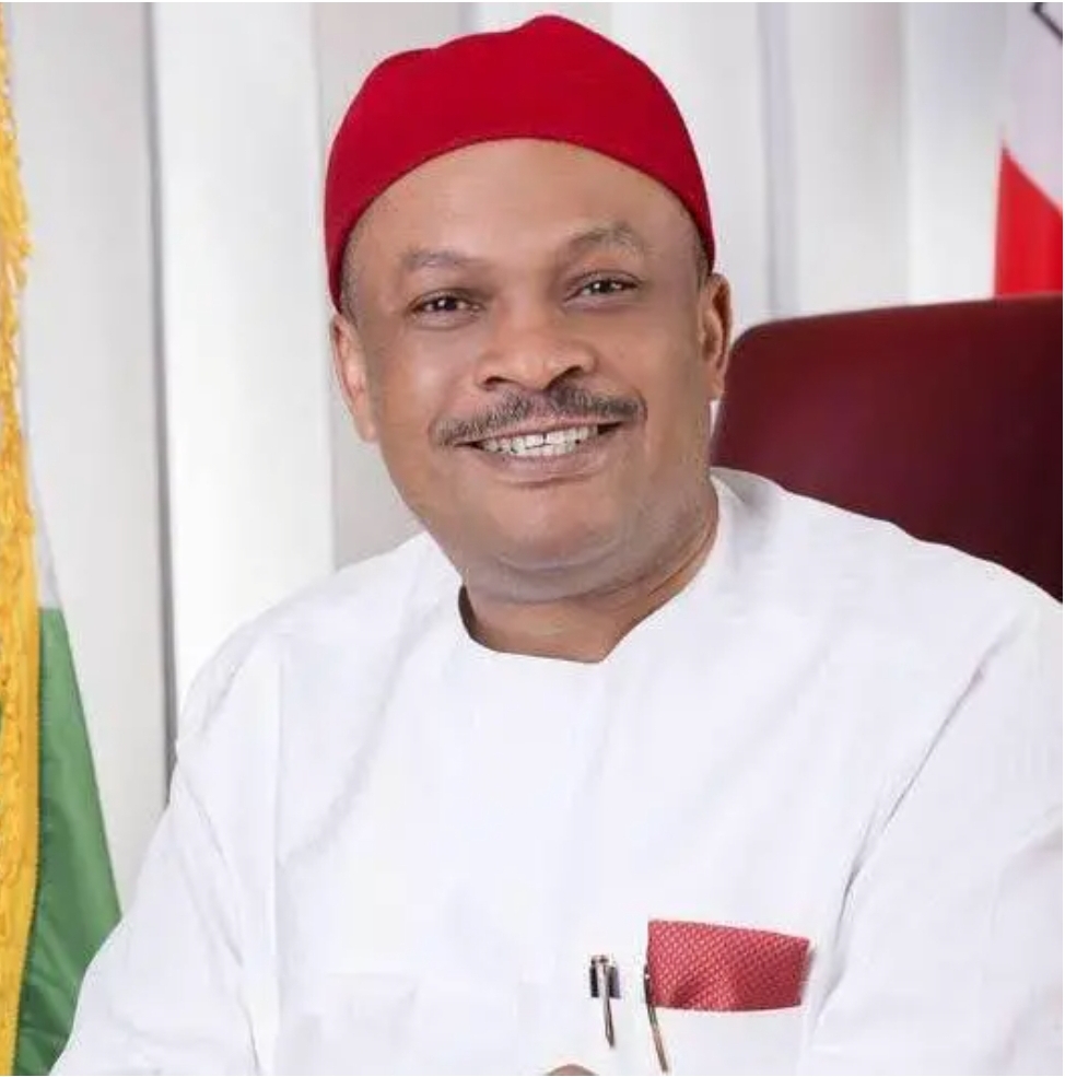 PDP Younger Democrats Demand Quick Resignation Of Anyanwu As Nationwide Secretary - Imo Guber