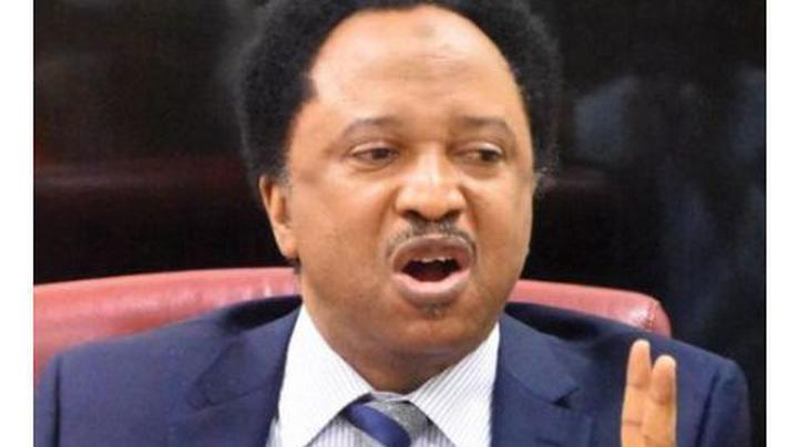 Shehu Sani: Tinubu Is Back From Paris, Instead Of Asking Him Of PSG, Guys Are Looking For Plaster Of Paris