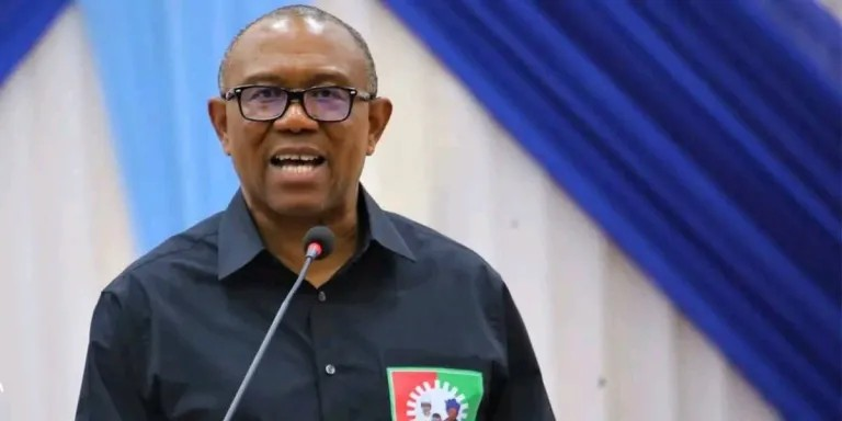 Peter Obi: There are thieves within the Country, however no one would make me leave Nigeria
