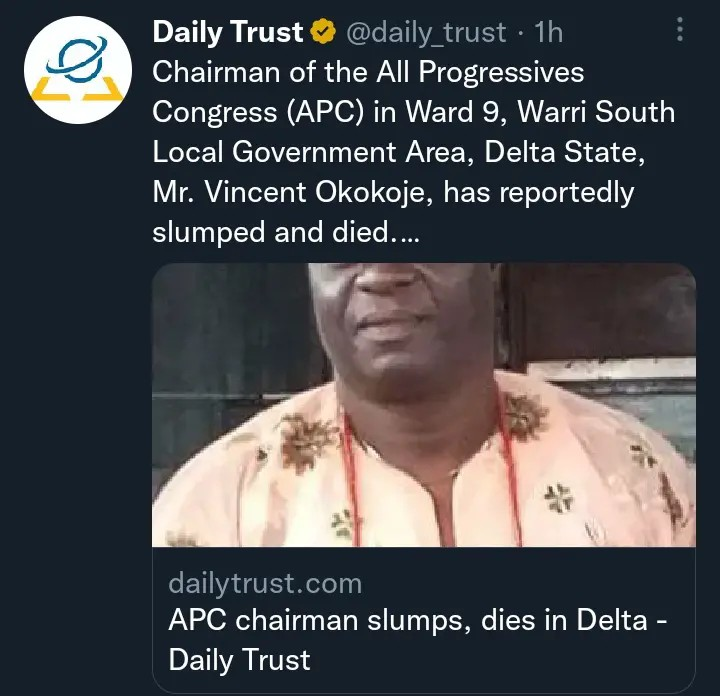 Governance isn't about sainthood - Fashola, APC Chairman slumps, dies in Delta