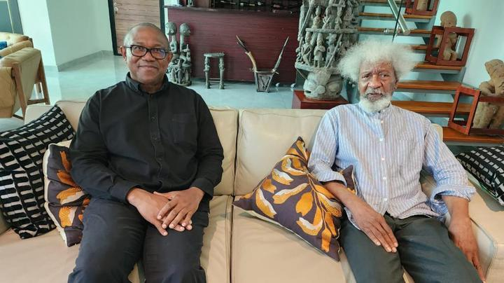 Wole Soyinka – I Didn’t Meet Peter Obi For Reconciliation, Fairly He Apologised