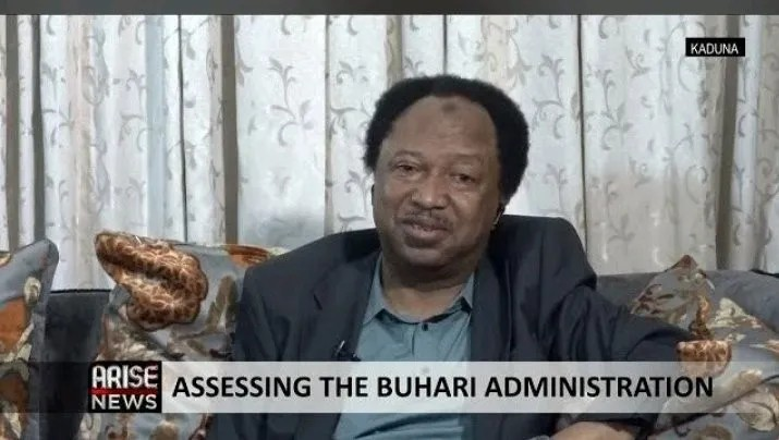 I think Buhari is setting a trap for Bola Tinubu before he hands over the office to him — Shehu Sani