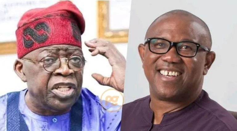 Reasons Why We May Not Declares Tinubu Winner In May 26th, Appeal Court Reveals