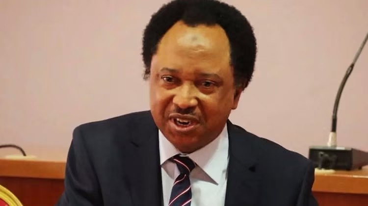 Shehu Sani Reacts To Fuel Scarcity – The Usual Blackmail Has Began
