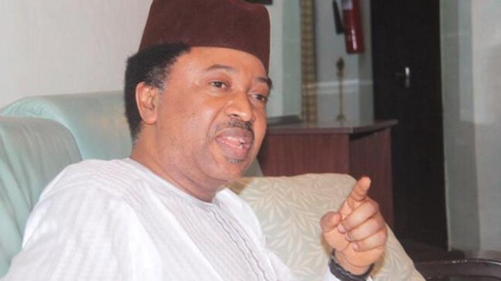Student loan: Most Nigerian leaders benefited from free education, but now tie students down with loans – Shehu Sani