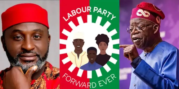 Labour Party distances itself from lawmaker-elect who celebrated Tinubu's intelligence