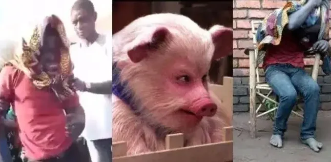 Big Story: Man Shockenly Turns Into a Pig After Stealing Pig (Video)