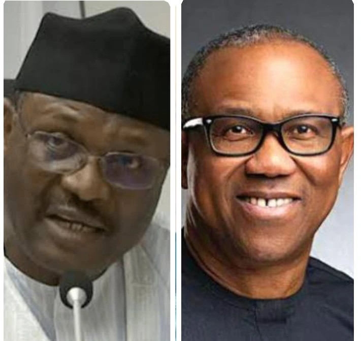 Stirs Reactions as INEC's Claim That Peter Obi Is Asking for Non-Existent Documents in Petition Against Tinubu