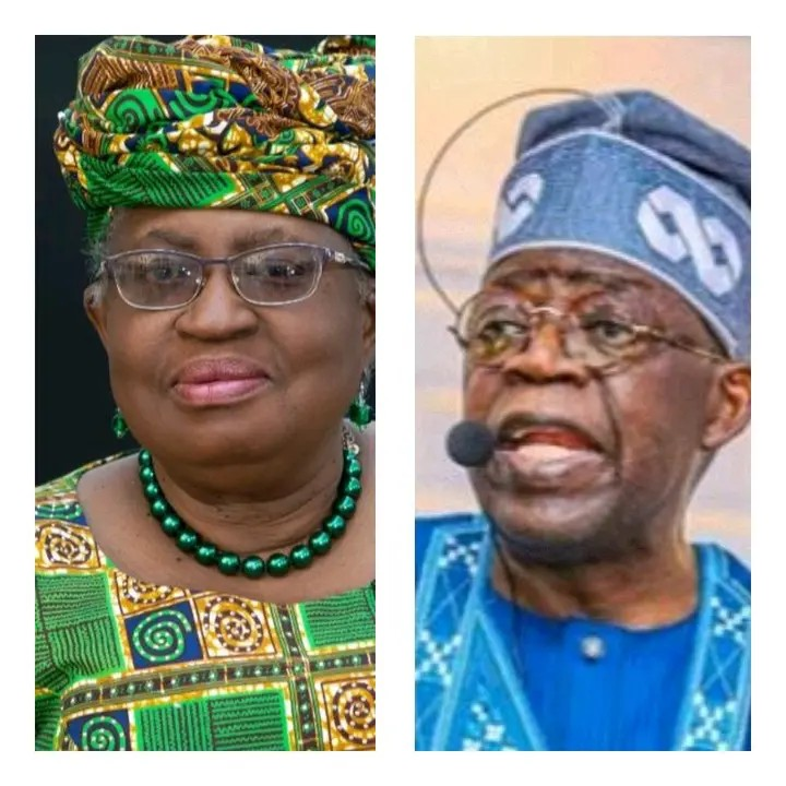 Okonjo-Iweala Responds to Criticism for Not Posting Photos with Tinubu