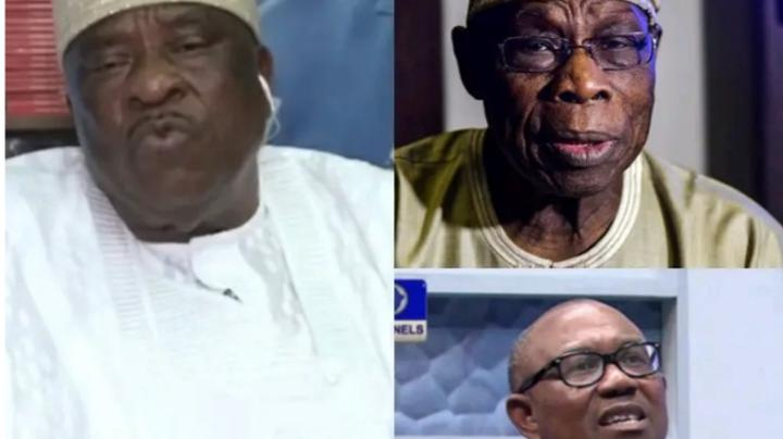 Anthony Adefuye Responds to Obasanjo's Praise of Peter Obi