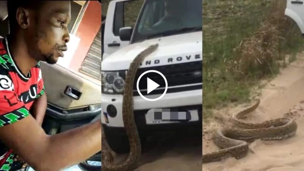 “Hookup girl I picked turned into a giant snake inside my car” – Nigerian Man shocking video