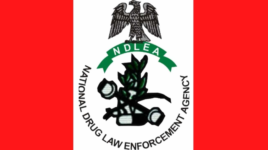 NDLEA Arrests Grandpa, Vigilance Commander, and Others for Dealing in Illicit Drugs