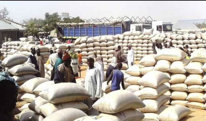Traders at Dawanau Grains Market Challenge Kano Government Over Alleged Hoarding