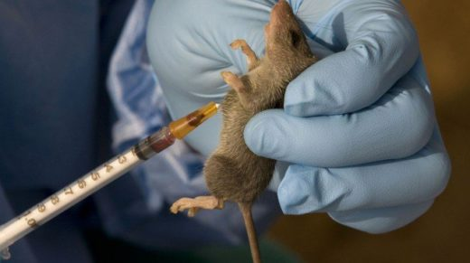 Two Doctors and One Nurse Succumb to Lassa Fever at Army Hospital in Kaduna